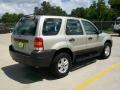 2005 Gold Ash Metallic Ford Escape XLS  photo #3