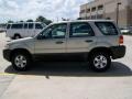 2005 Gold Ash Metallic Ford Escape XLS  photo #6