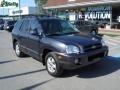 2005 Moonlit Blue Hyundai Santa Fe GLS 4WD  photo #16