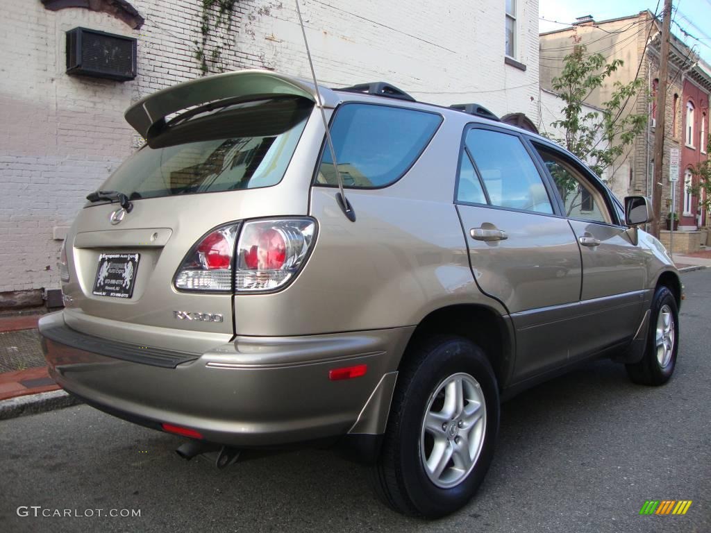 2003 RX 300 AWD - Burnished Gold Metallic / Ivory photo #3