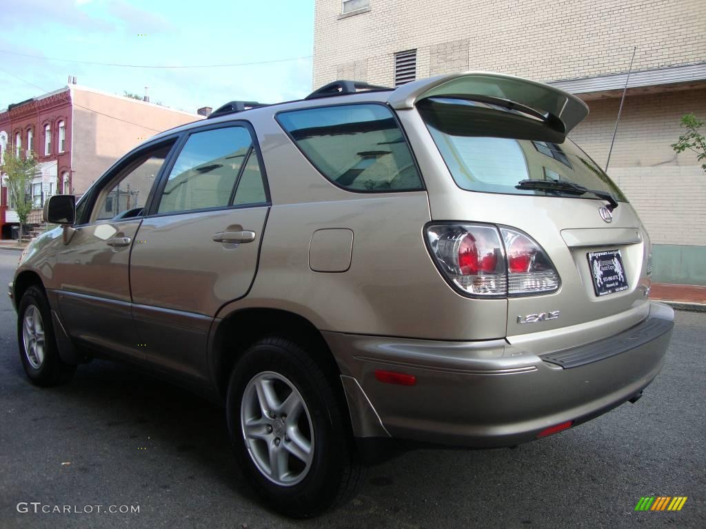 2003 RX 300 AWD - Burnished Gold Metallic / Ivory photo #4