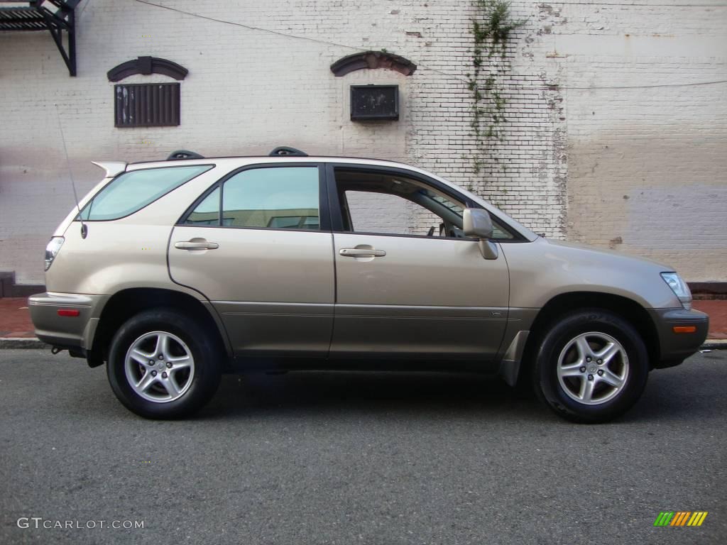 2003 RX 300 AWD - Burnished Gold Metallic / Ivory photo #5