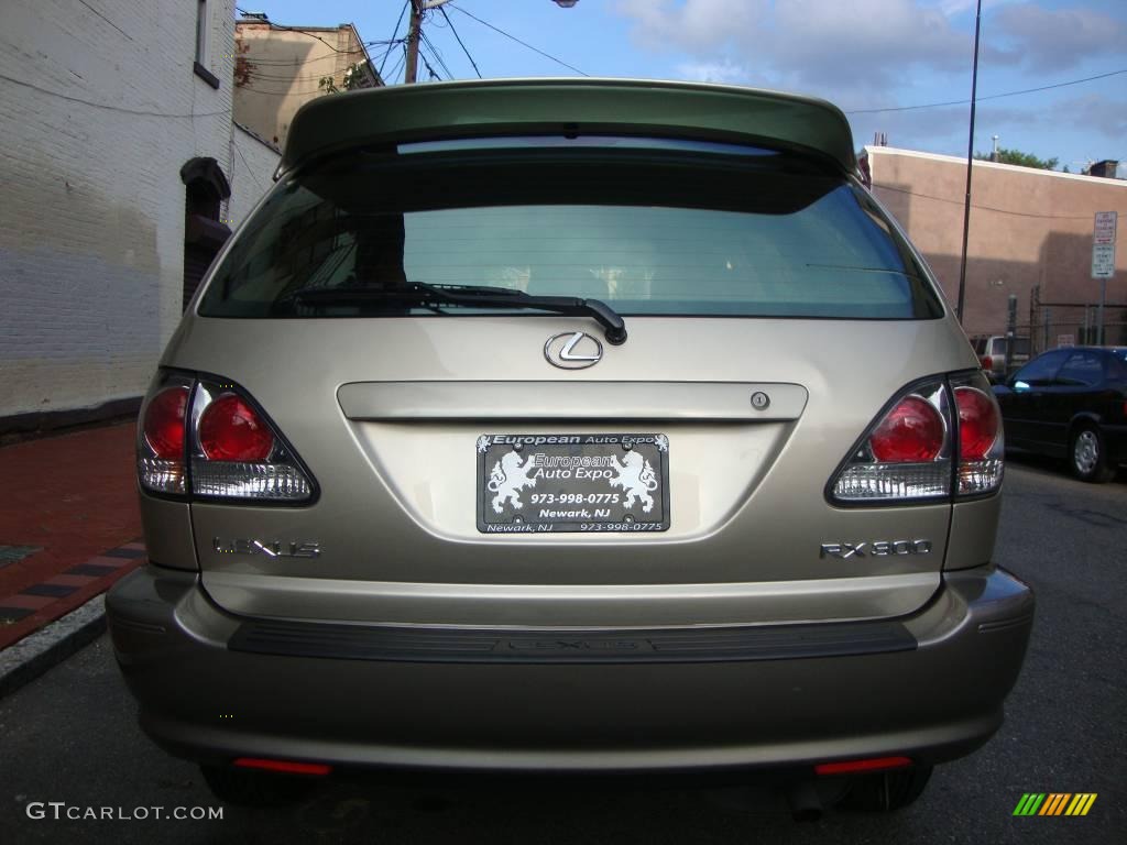 2003 RX 300 AWD - Burnished Gold Metallic / Ivory photo #6