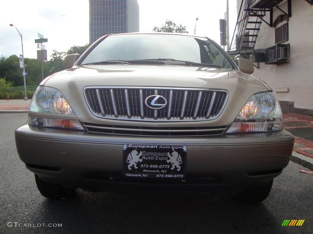 2003 RX 300 AWD - Burnished Gold Metallic / Ivory photo #7