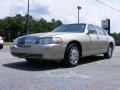 2006 Light French Silk Metallic Lincoln Town Car Designer Series  photo #4