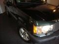 2002 Epsom Green Pearl Land Rover Range Rover 4.6 HSE  photo #6