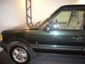 2002 Epsom Green Pearl Land Rover Range Rover 4.6 HSE  photo #13