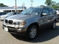 Stratus Grey Metallic - X5 3.0i Photo No. 4