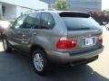 Stratus Grey Metallic - X5 3.0i Photo No. 6