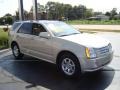 Gold Mist - SRX V6 Photo No. 3