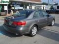 Willow Gray - Sonata GLS V6 Photo No. 2