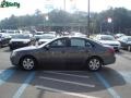 Willow Gray - Sonata GLS V6 Photo No. 5