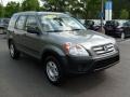 2006 Pewter Pearl Honda CR-V LX 4WD  photo #3