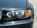 2002 Jet Black BMW 3 Series 325i Sedan  photo #9