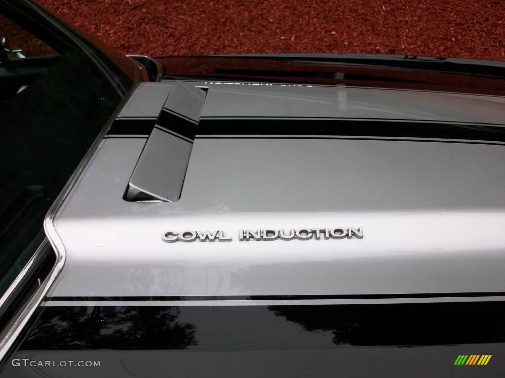 1972 Chevrolet El Camino Standard El Camino Model Marks and Logos Photos