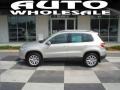 Reflex Silver Metallic - Tiguan SE Photo No. 1