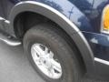 2004 True Blue Metallic Ford Expedition XLT 4x4  photo #18