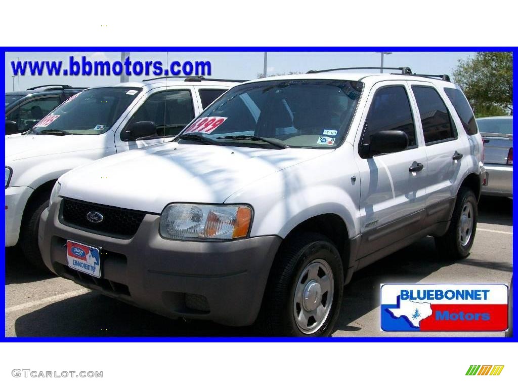 Oxford White Ford Escape