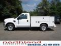 2009 Oxford White Ford F250 Super Duty XL Regular Cab  photo #5