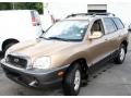 2002 Sandstone Hyundai Santa Fe 2.4  photo #1