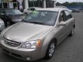 2006 Sand Beige Kia Spectra EX Sedan  photo #3