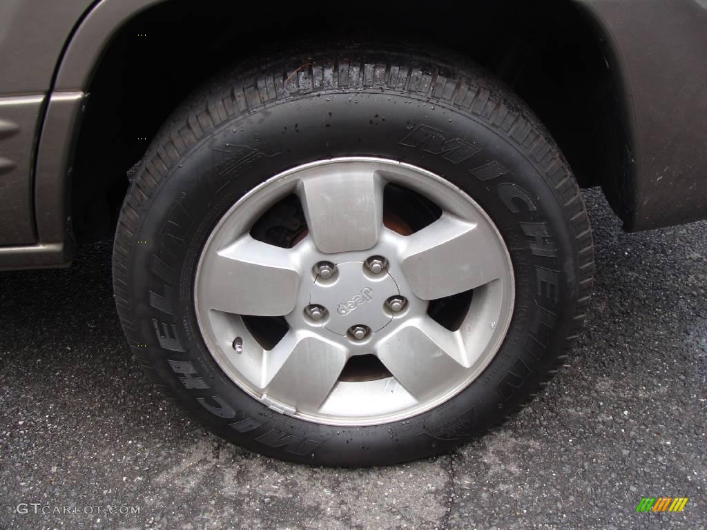 2001 Grand Cherokee Limited 4x4 - Woodland Brown Satin Glow / Sandstone photo #7