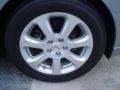 Precision Gray Metallic - Maxima 3.5 SL Photo No. 4