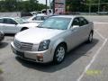 Light Platinum - CTS Sedan Photo No. 3