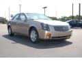 Sand Storm - CTS Sedan Photo No. 1