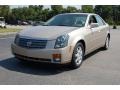 Sand Storm - CTS Sedan Photo No. 12