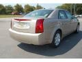 Sand Storm - CTS Sedan Photo No. 15