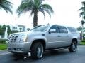 Quicksilver - Escalade ESV AWD Photo No. 2