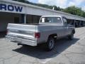 Silver Metallic - C/K C10 Custom Deluxe Regular cab Photo No. 2
