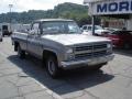 Silver Metallic 1985 Chevrolet C/K C10 Custom Deluxe Regular cab Exterior