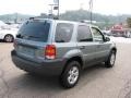 2006 Titanium Green Metallic Ford Escape XLT V6 4WD  photo #11