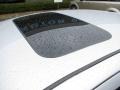Silver Frost Metallic - Focus SE Sedan Photo No. 6
