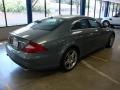 Granite Grey Metallic - CLS 500 Photo No. 5