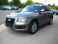 2009 Dakar Beige Metallic Audi Q5 3.2 Premium quattro  photo #3