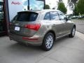 2009 Dakar Beige Metallic Audi Q5 3.2 Premium quattro  photo #6
