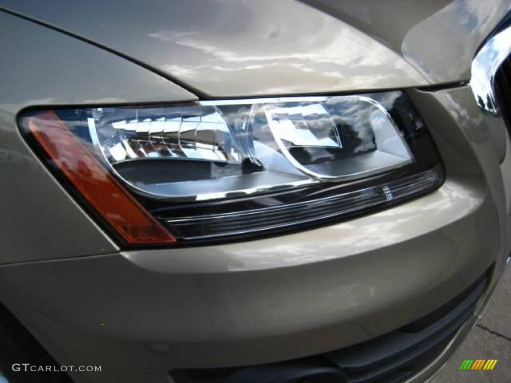 2009 Q5 3.2 Premium quattro - Dakar Beige Metallic / Cardamom Beige photo #9