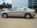 Lunar Gold Metallic - S60 2.5T Photo No. 3