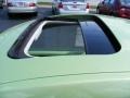 Cyber Green Metallic - New Beetle GLS TDI Coupe Photo No. 25