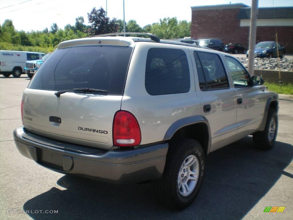 2002 Durango SXT 4x4 - Light Pewter Metallic / Dark Slate Gray photo #10