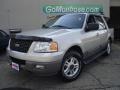 2003 Silver Birch Metallic Ford Expedition XLT 4x4  photo #1