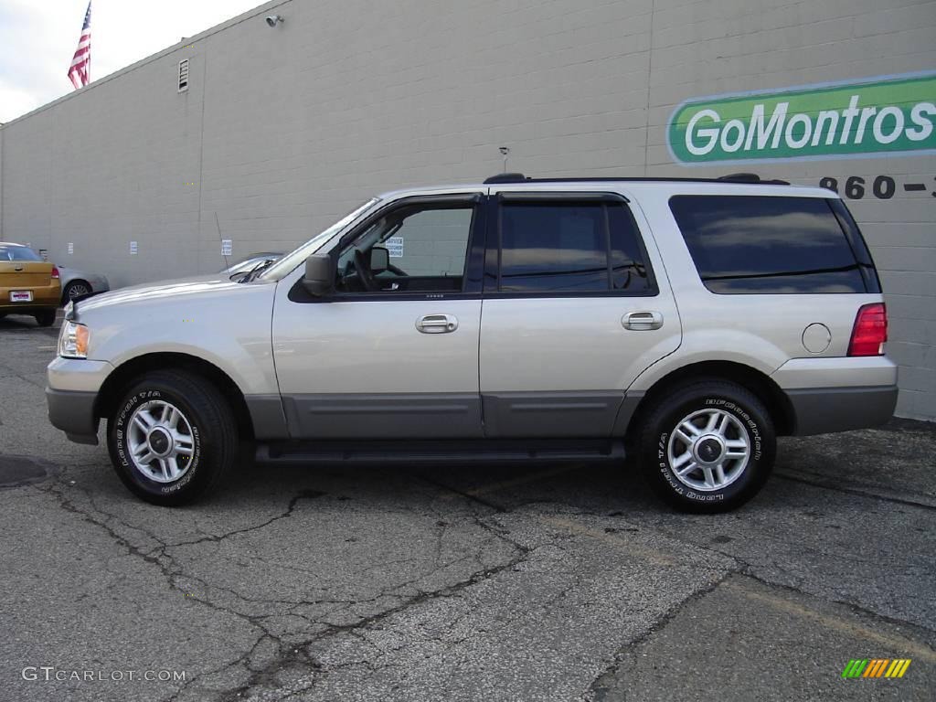 2003 Expedition XLT 4x4 - Silver Birch Metallic / Flint Grey photo #2