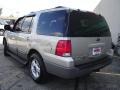 2003 Silver Birch Metallic Ford Expedition XLT 4x4  photo #3