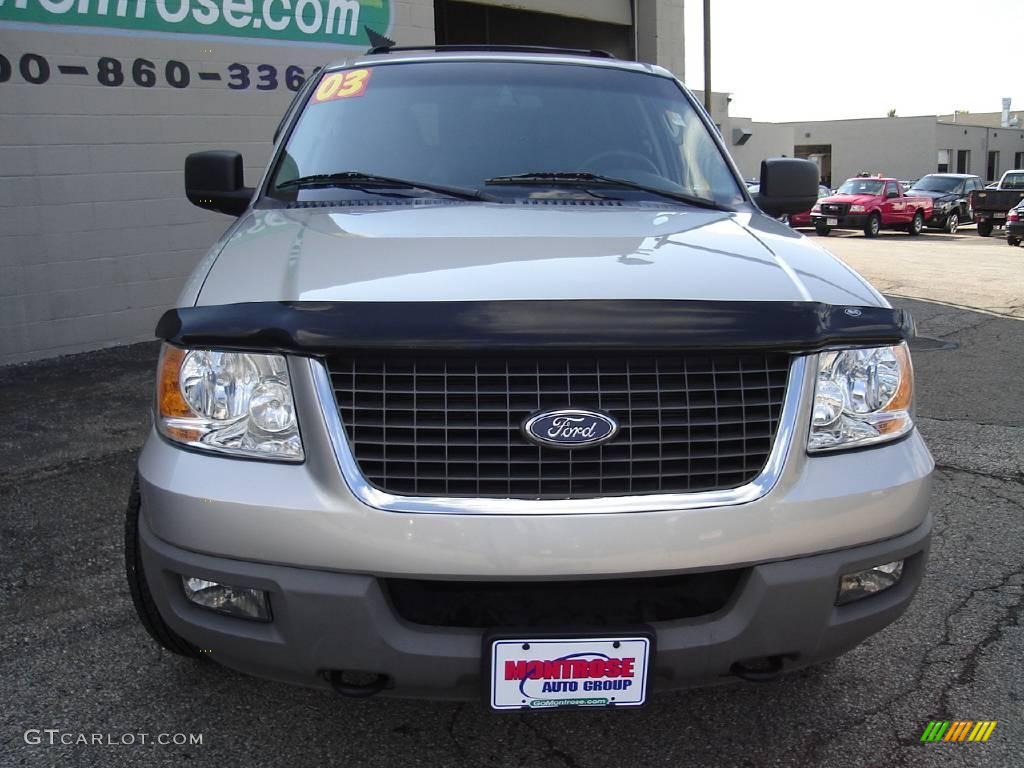2003 Expedition XLT 4x4 - Silver Birch Metallic / Flint Grey photo #8