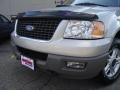 2003 Silver Birch Metallic Ford Expedition XLT 4x4  photo #9