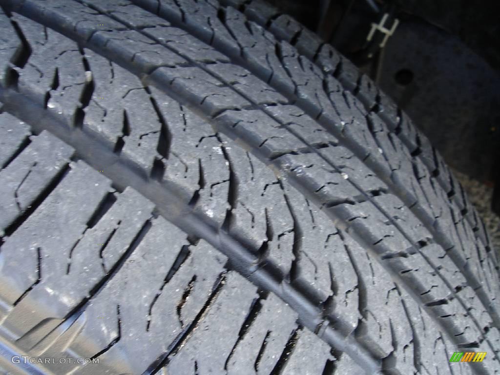 2003 Expedition XLT 4x4 - Silver Birch Metallic / Flint Grey photo #10