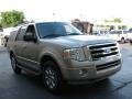 Pueblo Gold Metallic - Expedition XLT Photo No. 4